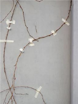 Niels Donckers: Untitled II - Annie Gentils Gallery