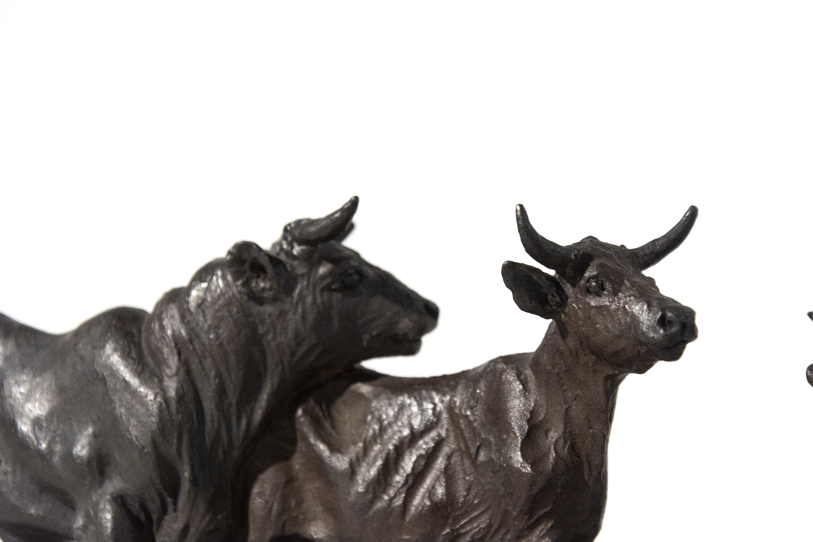 Joe Fafard | Cow Pool (2007 - 2009) | MutualArt