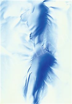 Venus - László Méhes