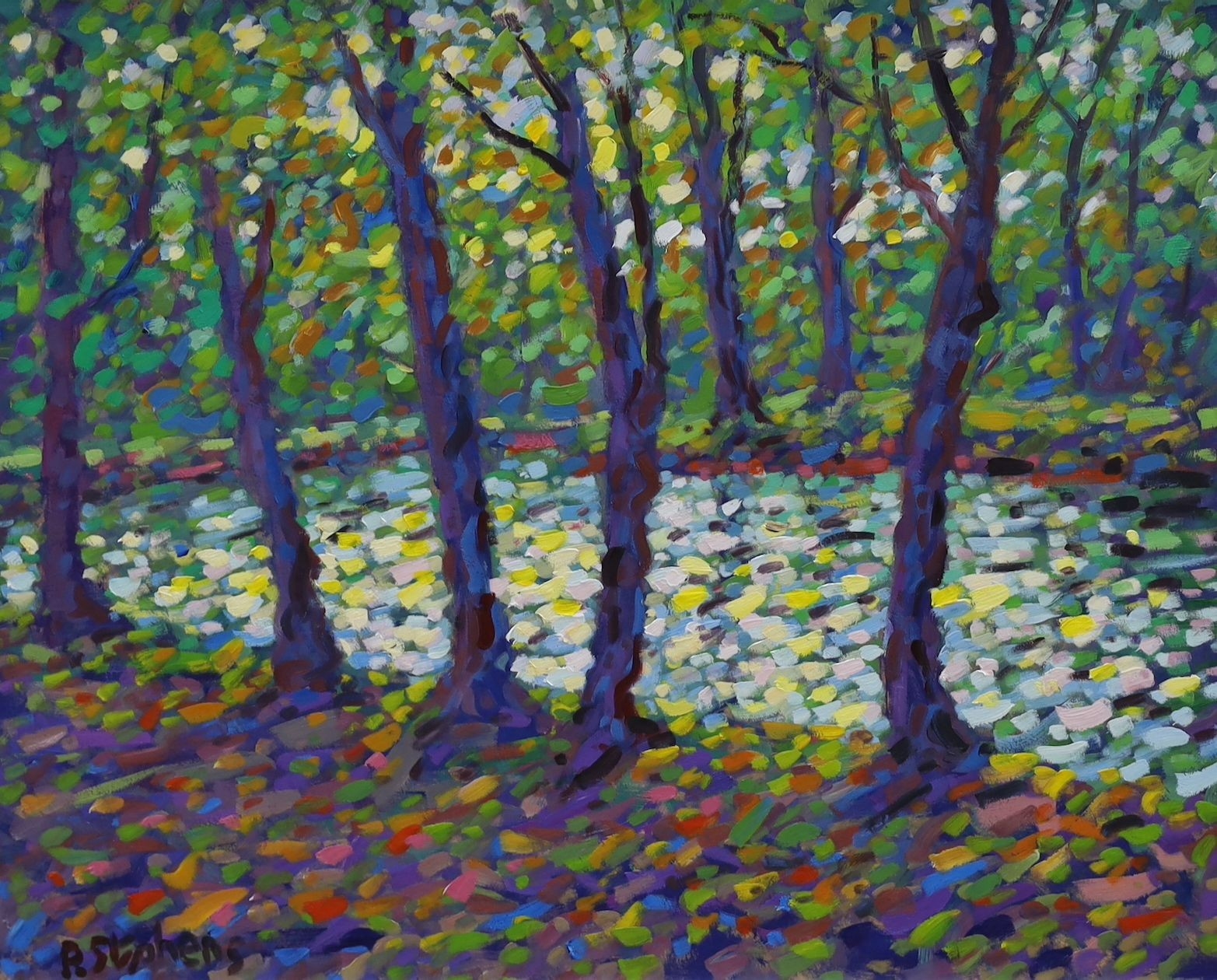 Paul Stephens | Early morning sunrise in woods | MutualArt