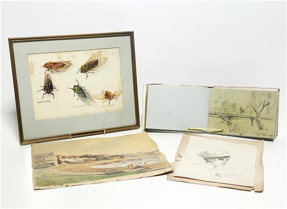 Beach Scene, Portrait Sketches, Insect Studies and Sketch Books