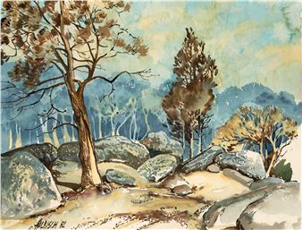 Rocky Landscape. - Stewart Roy Halbisch