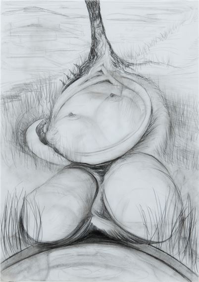 Vom Liegen im Gras by Klaudia Schifferle, 1993