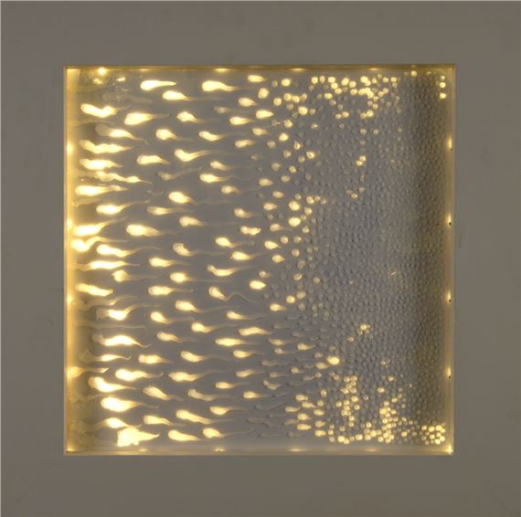 Untitled by Werner Bauer