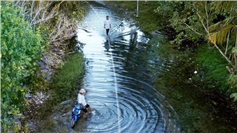 Flatform: Artists’ Film International #14 - Galleria d'Arte Moderna e Contemporanea (GAMeC)