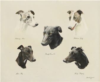 Studies of dogs - David French