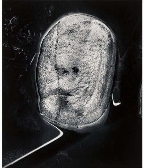 Rock by Wynn Bullock, 1973