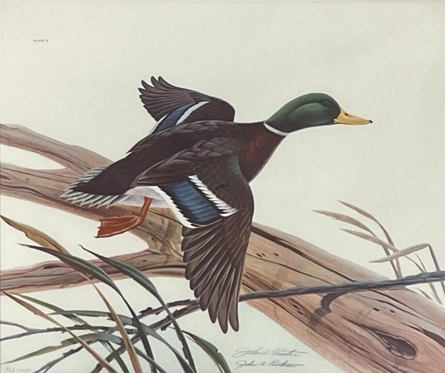 John A. Ruttman | DUCK | MutualArt