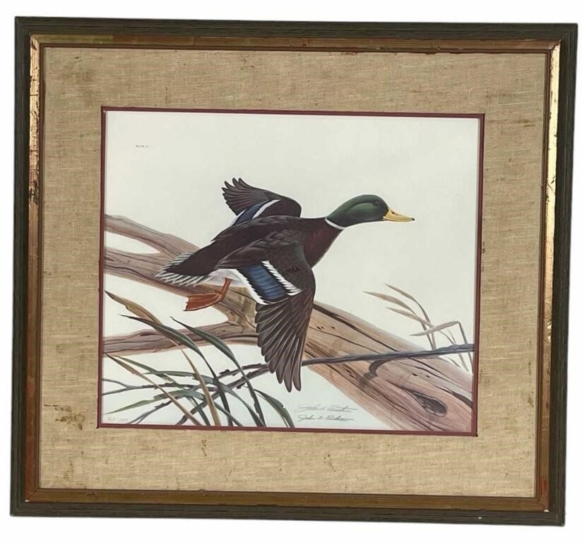 John A. Ruttman | DUCK | MutualArt