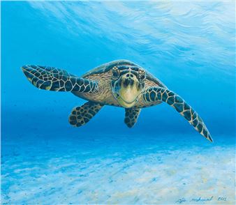 Senyum Seekor Kawan - Ajis Mohamad