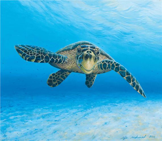 Senyum Seekor Kawan by Ajis Mohamad, 2015