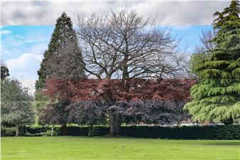 Shadowlight Artists: Captured Moments - Modern Art Oxford