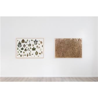 Herman De Vries: Natura Artis Magistra - Galerie Conrads