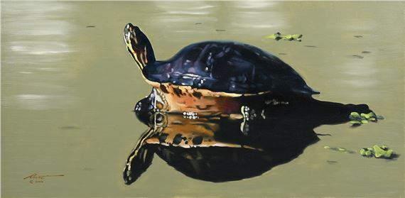 Donald Rust | Turtle on the Beach Reflections | MutualArt