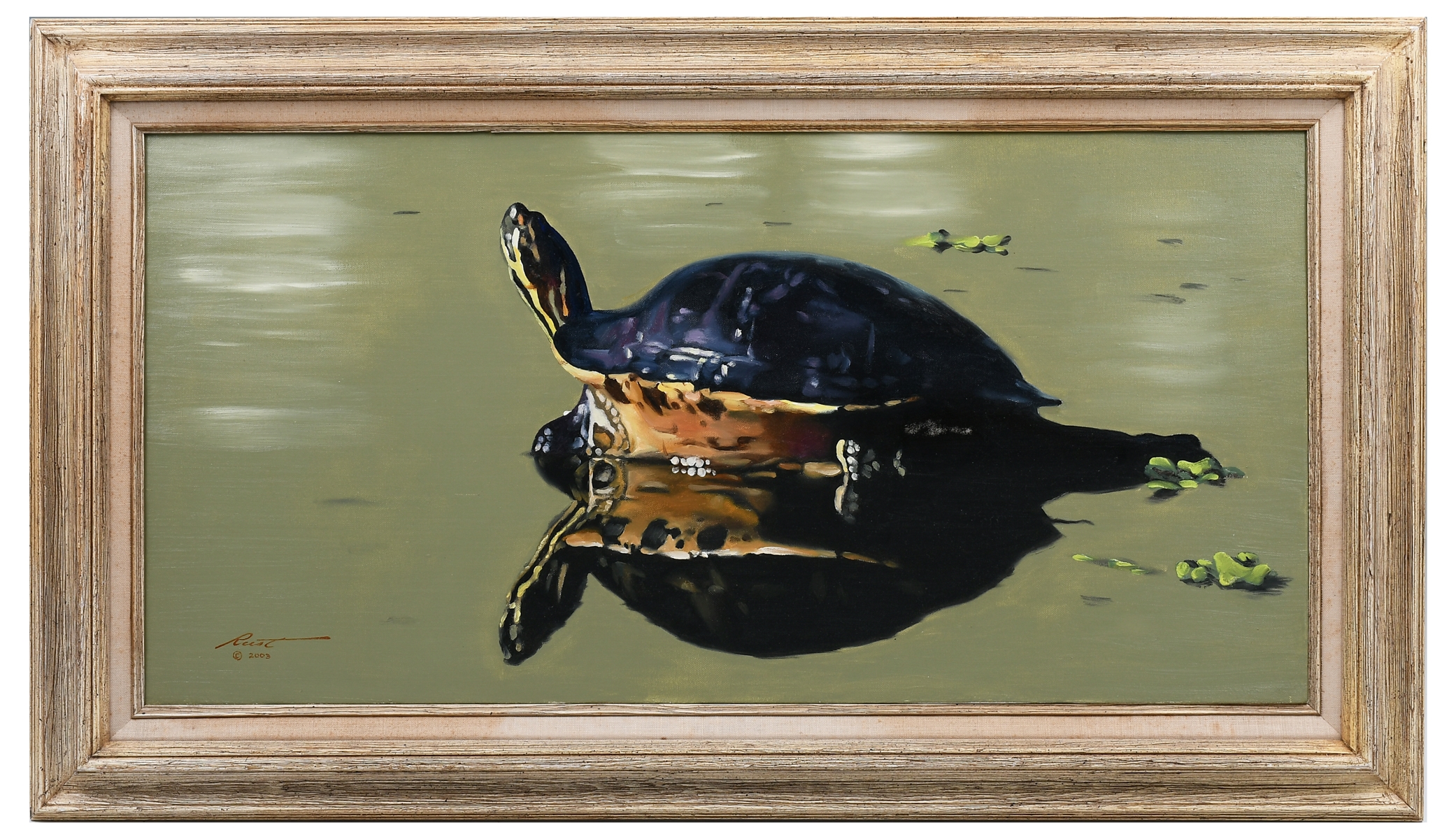 Donald Rust Turtle on the Beach Reflections MutualArt