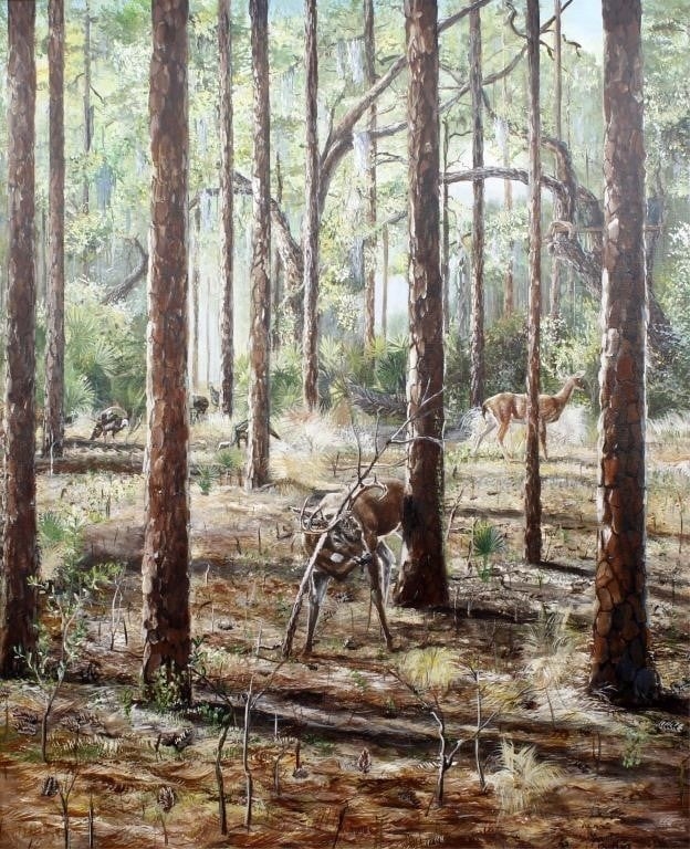 Sam Butler | SAM BUTLER FLORIDA ARTIST DEER IN FOREST GICLEE | MutualArt