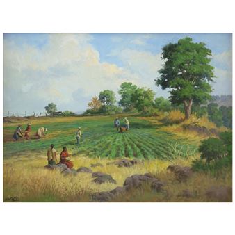 Untitled - Manuel Navarro