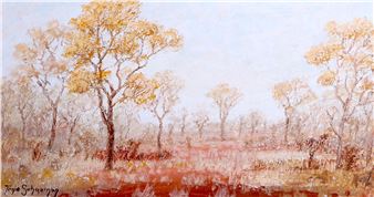 BUSH LANDSCAPE - Tonie Schoeman