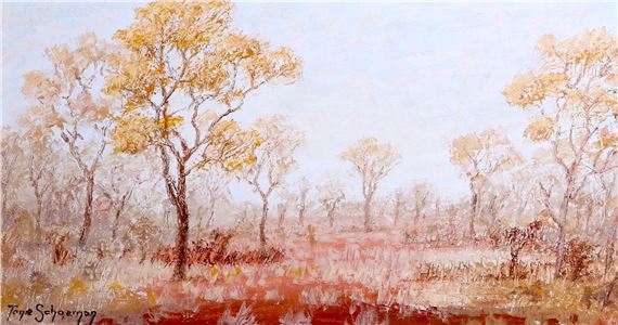 BUSH LANDSCAPE - Tonie Schoeman