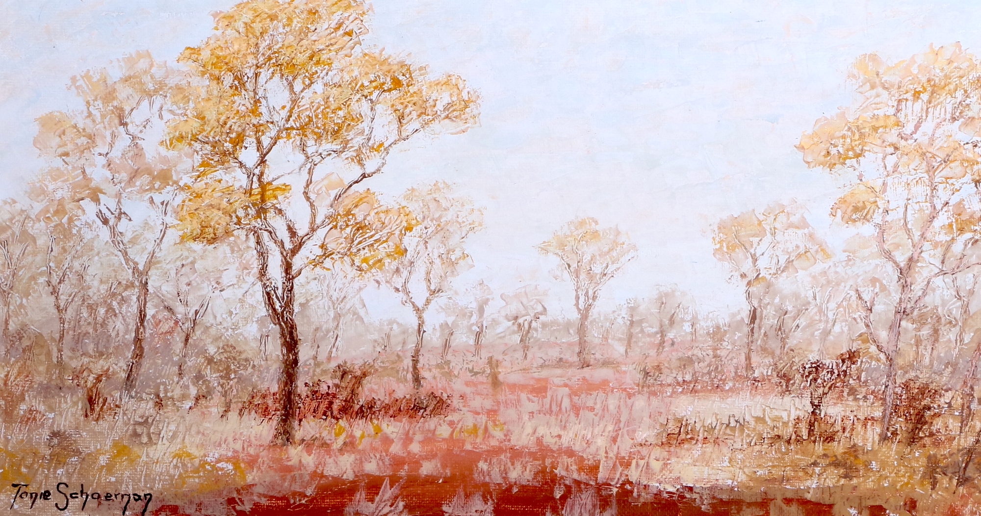Artwork by Tonie Schoeman, BUSH LANDSCAPE, Made of oil on canvas on board