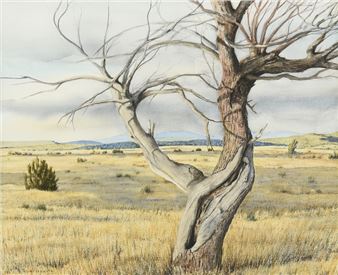 Tree in Landscape - Peter de la Fuente