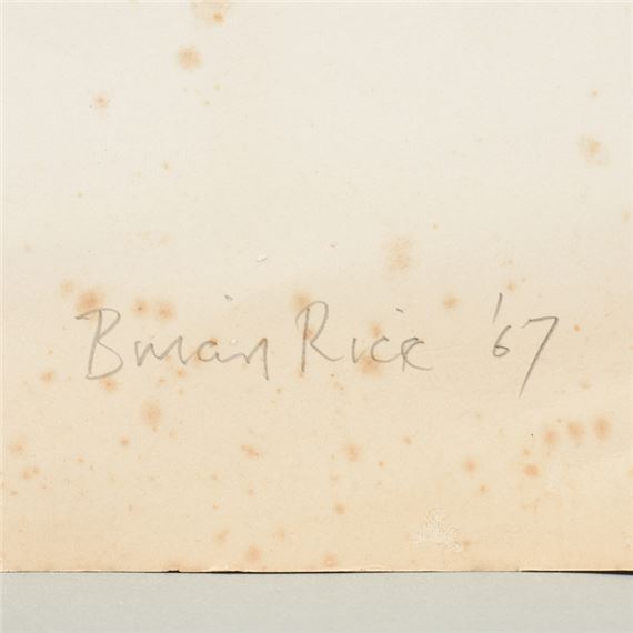 Brian Rice | The Death of Op Art (1967) | MutualArt