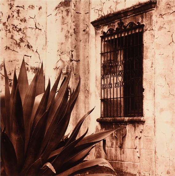 Tom Kilty | TWO PHOTOGRAPHS | MutualArt