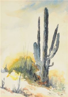 The Desert Cactus - Edythe Old