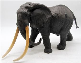 ELEPHANT - Jackie Maakes