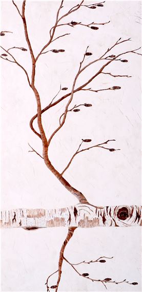 SILVER BIRCH - Pierre Nobel