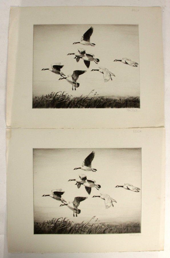 Peter Markham Scott | Peter Scott/Canada Geese/two etchings | MutualArt