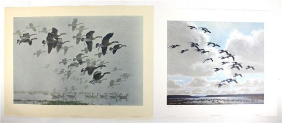 Peter Markham Scott | Peter Scott/Canada Geese coming to the Marsh ...