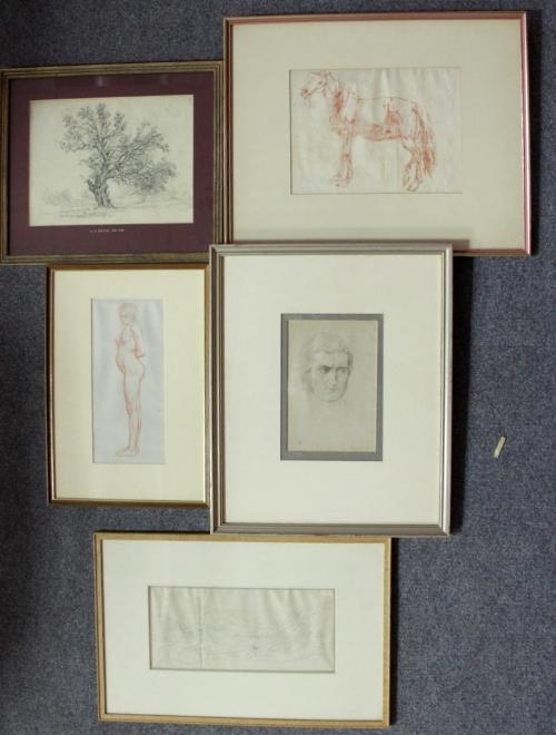 British School 20th Century Brian Hatton Standing Nude Sepia Chalk 