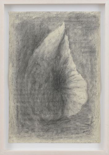 Untitled by Andrea Fogli, 2009