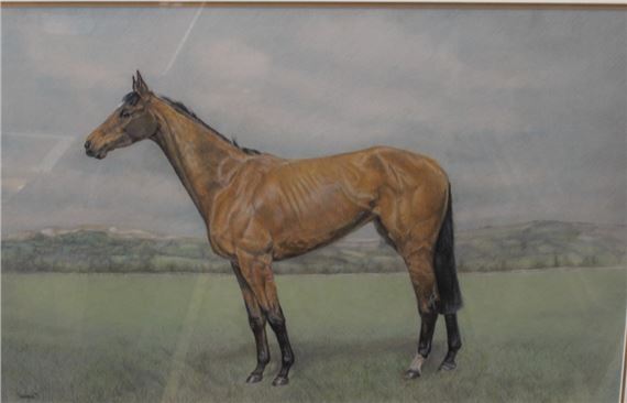The Racehorse United - Sheena McCall