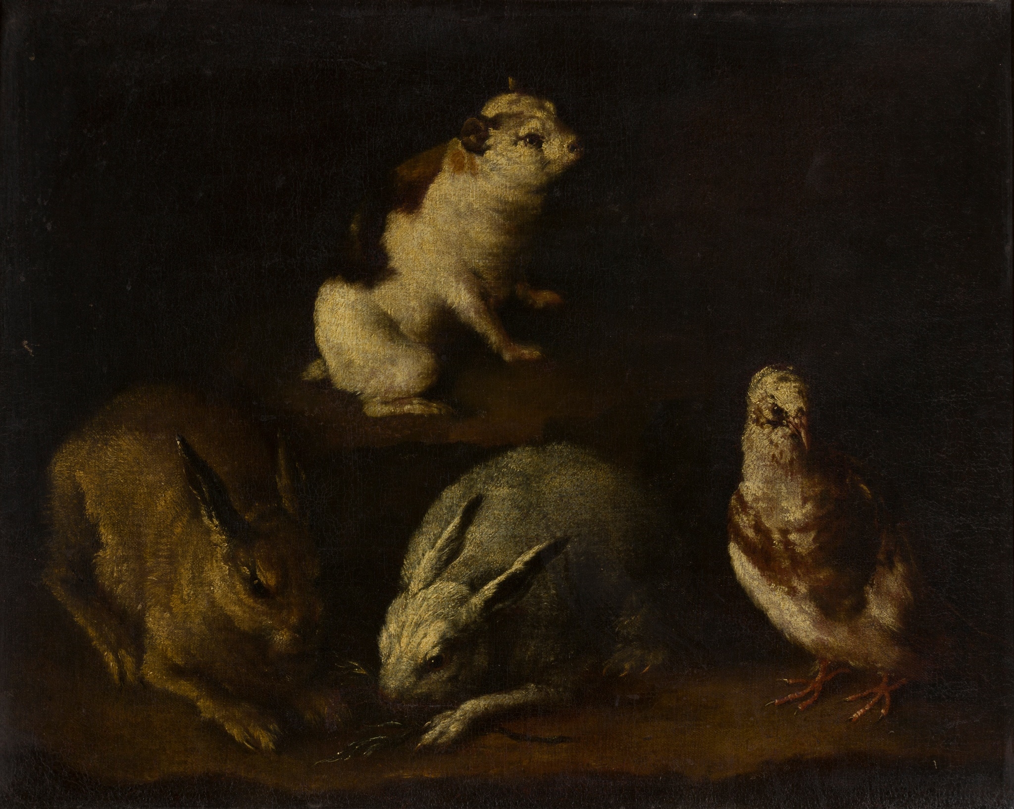 Giovanni Agostino Cassana | RABBITS, DOVE AND A GUINEA PIG IN AN ...