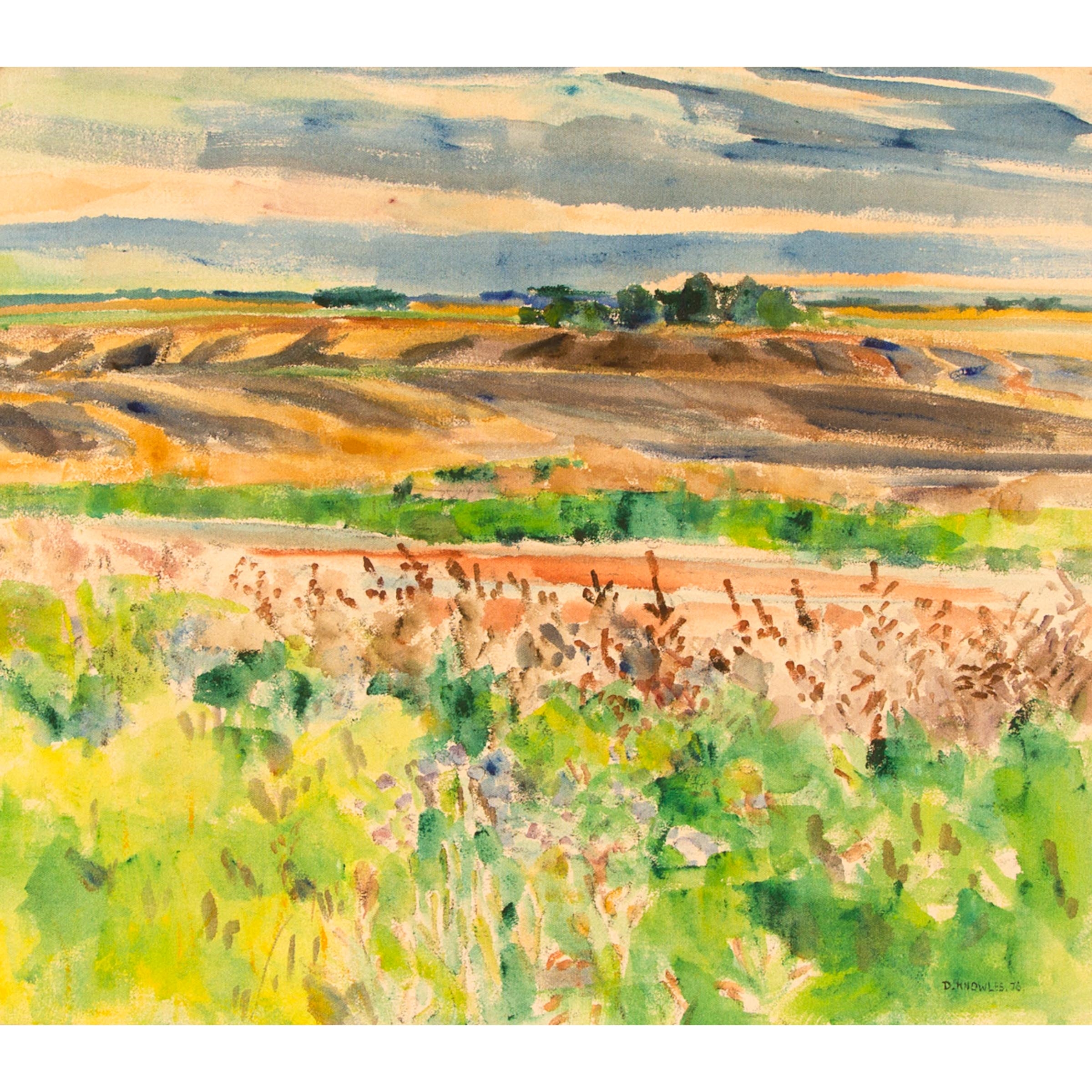 Dorothy Knowles | UNTITLED LANDSCAPE, 1976 | MutualArt