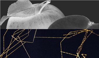 Cosimo Veneziano: Biomega - Museo di Fotografia Contemporanea