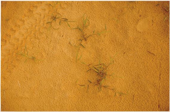 Untitled by William Eggleston, 1983-1986