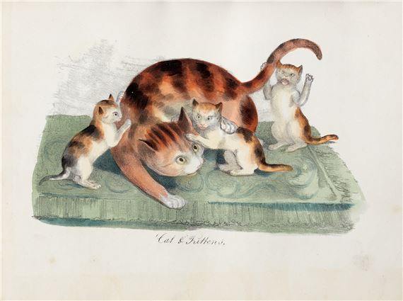 A watercolor illustration of a mother cat surrounded by playful kittens on a green cushion.