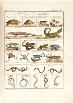 Museum de la jeunesse, ou tableaux historiques des sciences et des arts - Jacques Grasset de Saint-Sauveur