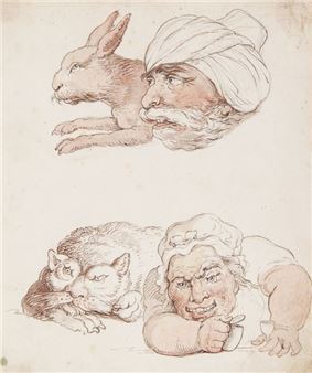 Rowlandson (Thomas) Comparative Anatomy. Resemblances between the Countenances of Men and Beasts an album of drawings and watercolours - Thomas Rowlandson