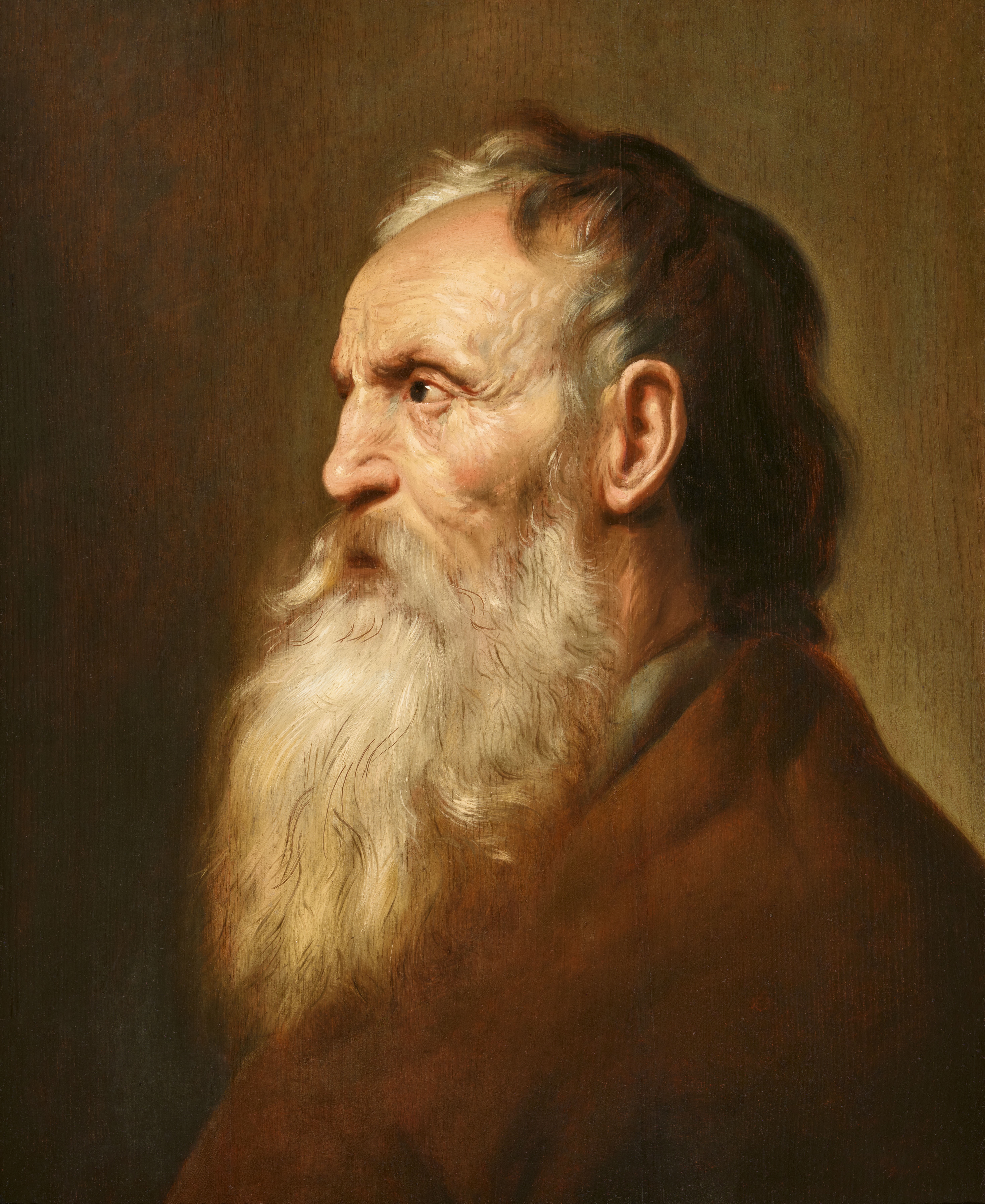 Artwork by Jan Lievens, Portrait of a Bearded Man, Made of Oil on panel