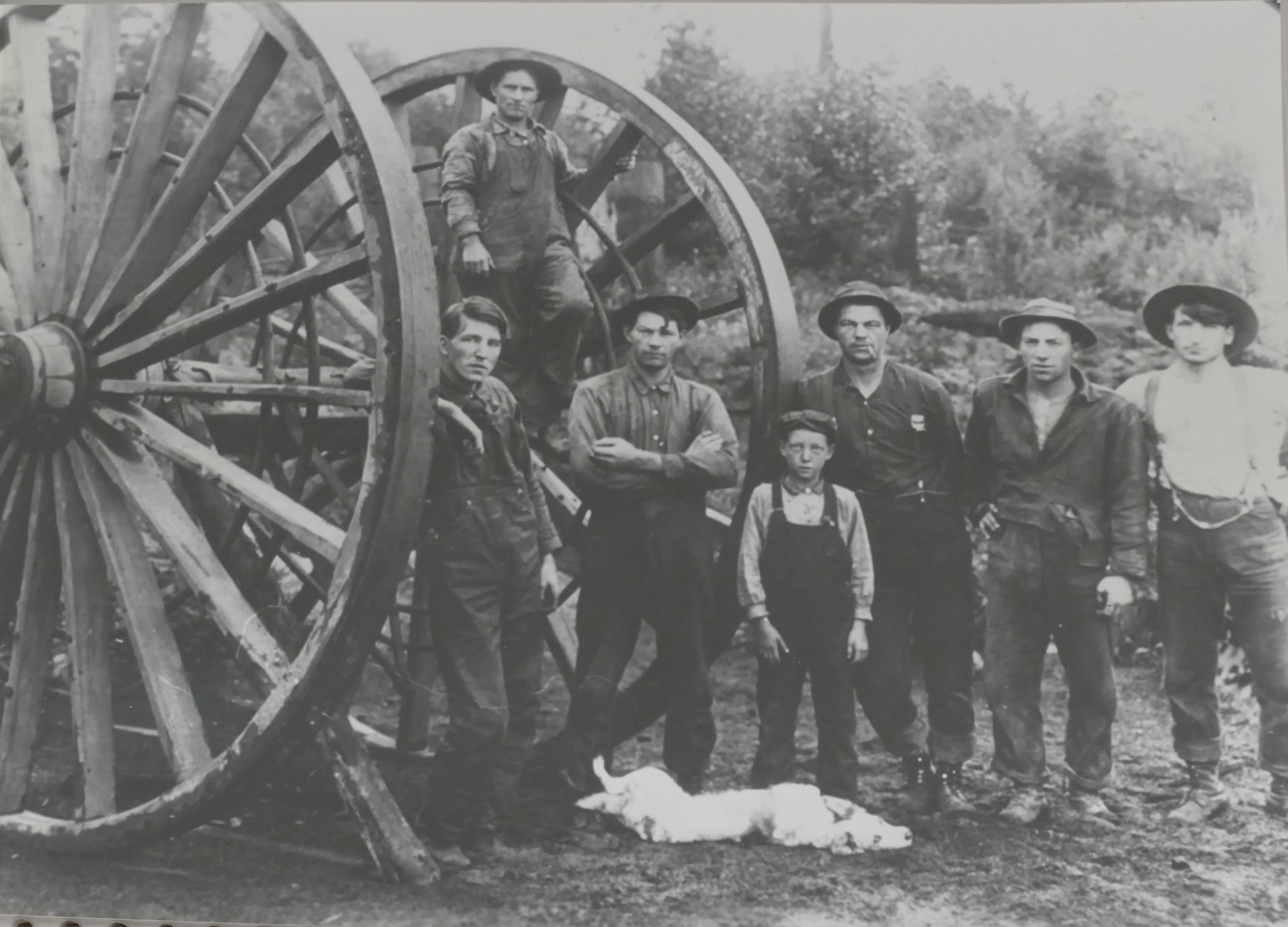 Darius Kinsey Portfolio 13pc Reprint Logging Photos MutualArt