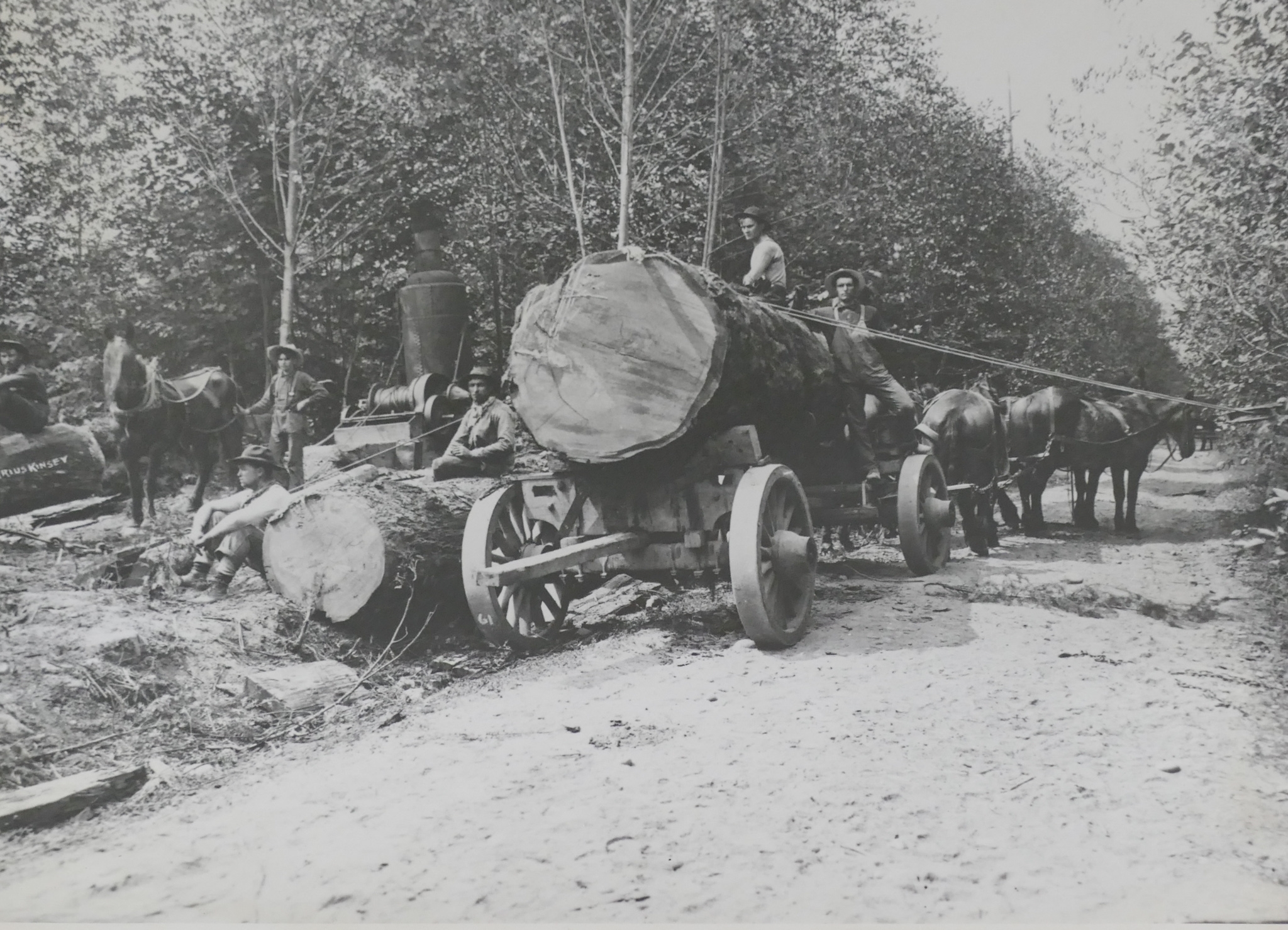 Darius Kinsey Portfolio 13pc Reprint Logging Photos MutualArt