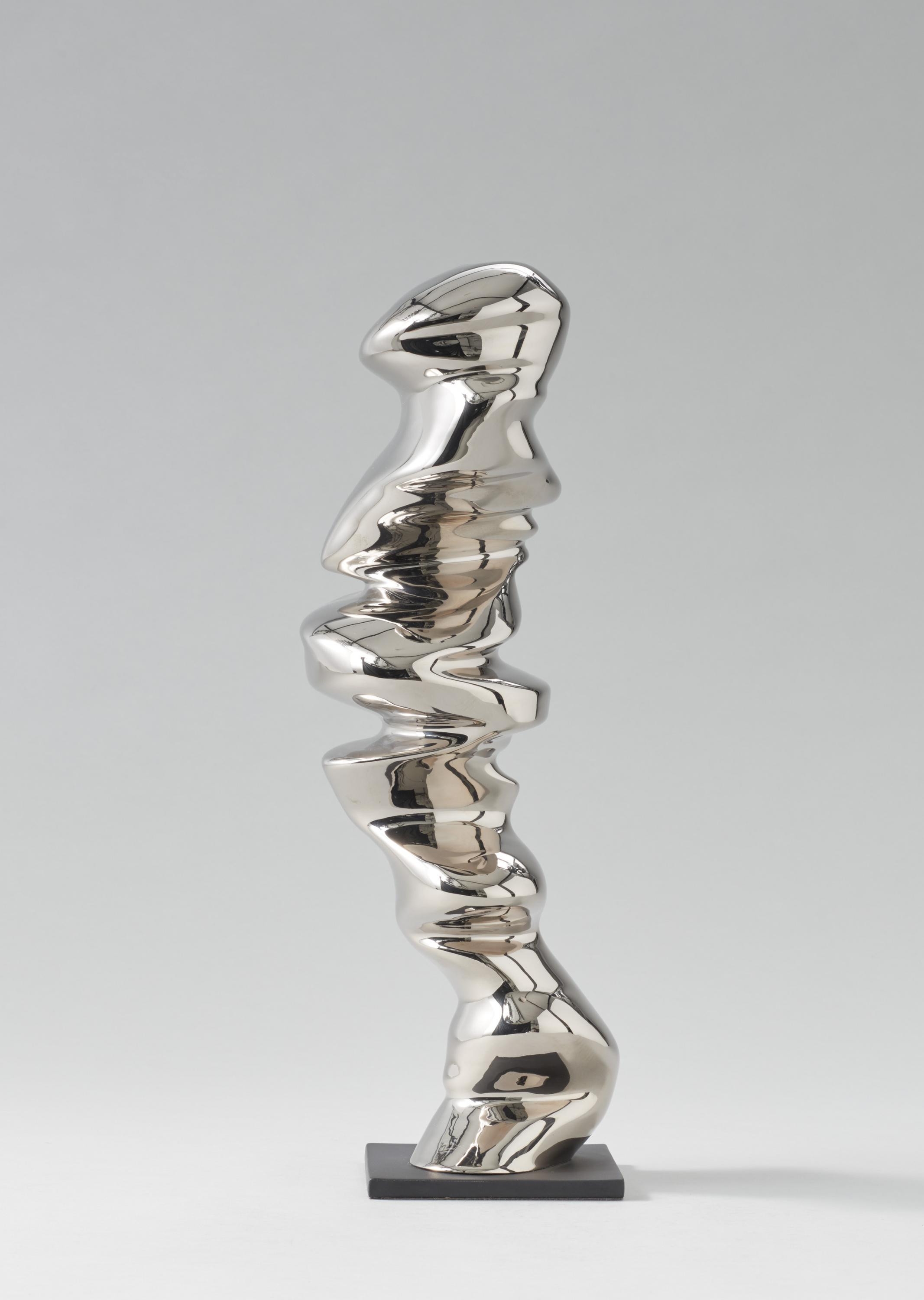 Tony Cragg Points of View. (2013) MutualArt
