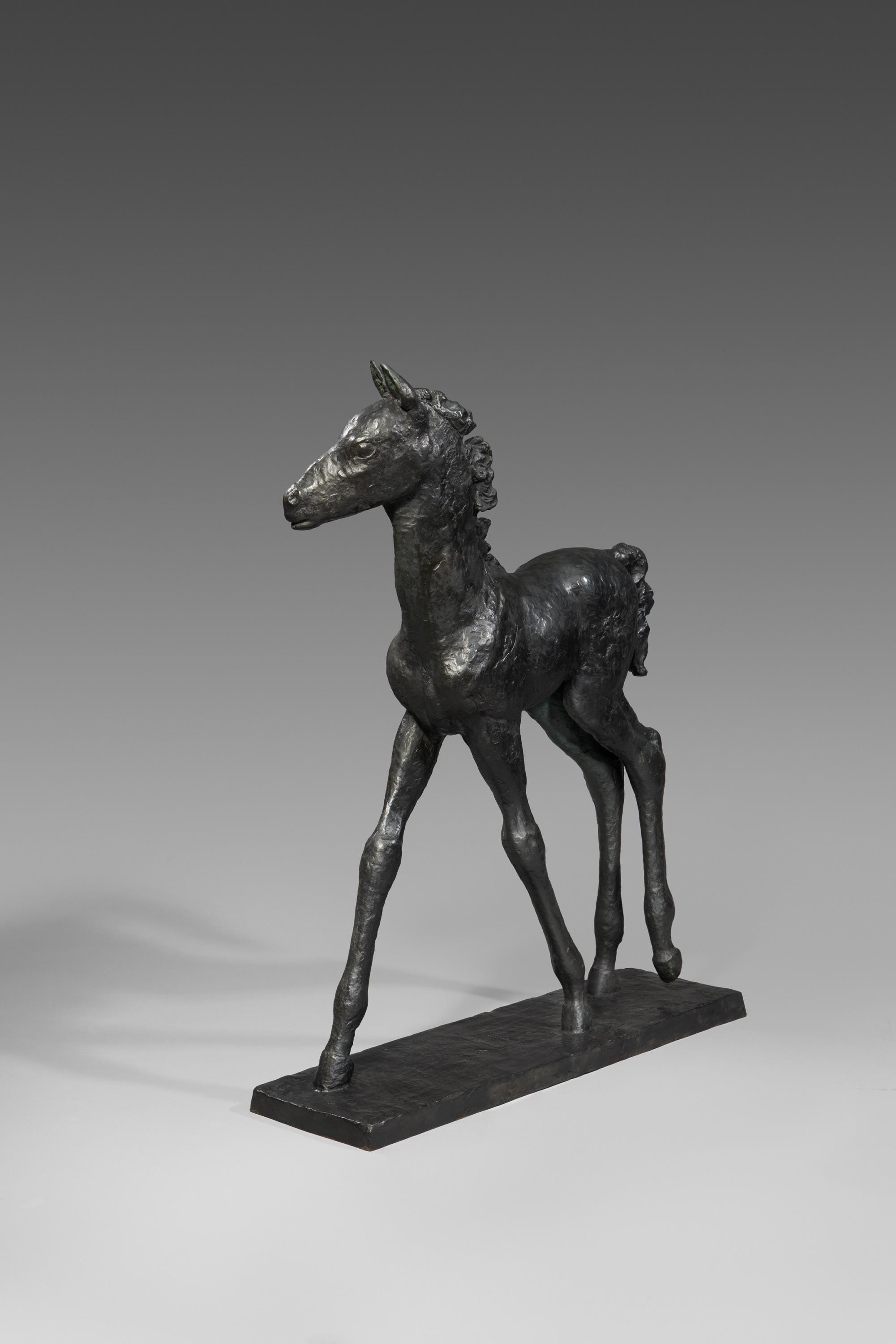 Artwork by Renee Sintenis, Großes Vollblutfohlen., Made of Bronze