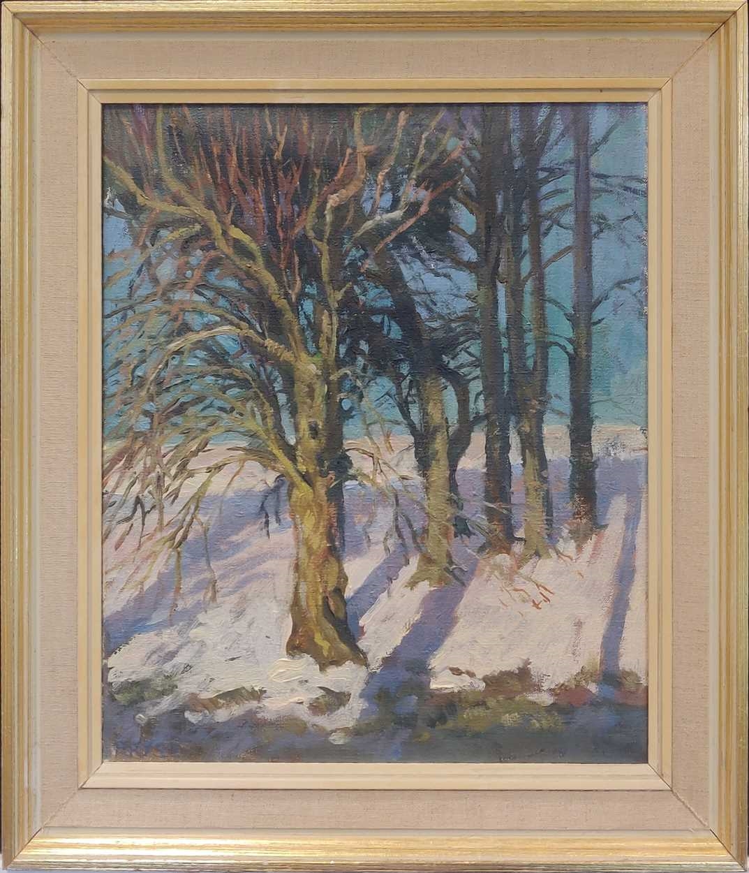 Trees in snow, Raddery by Tessa Spencer  Pryse