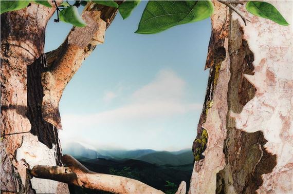 Boo Ritson | Treetop (2012) | MutualArt