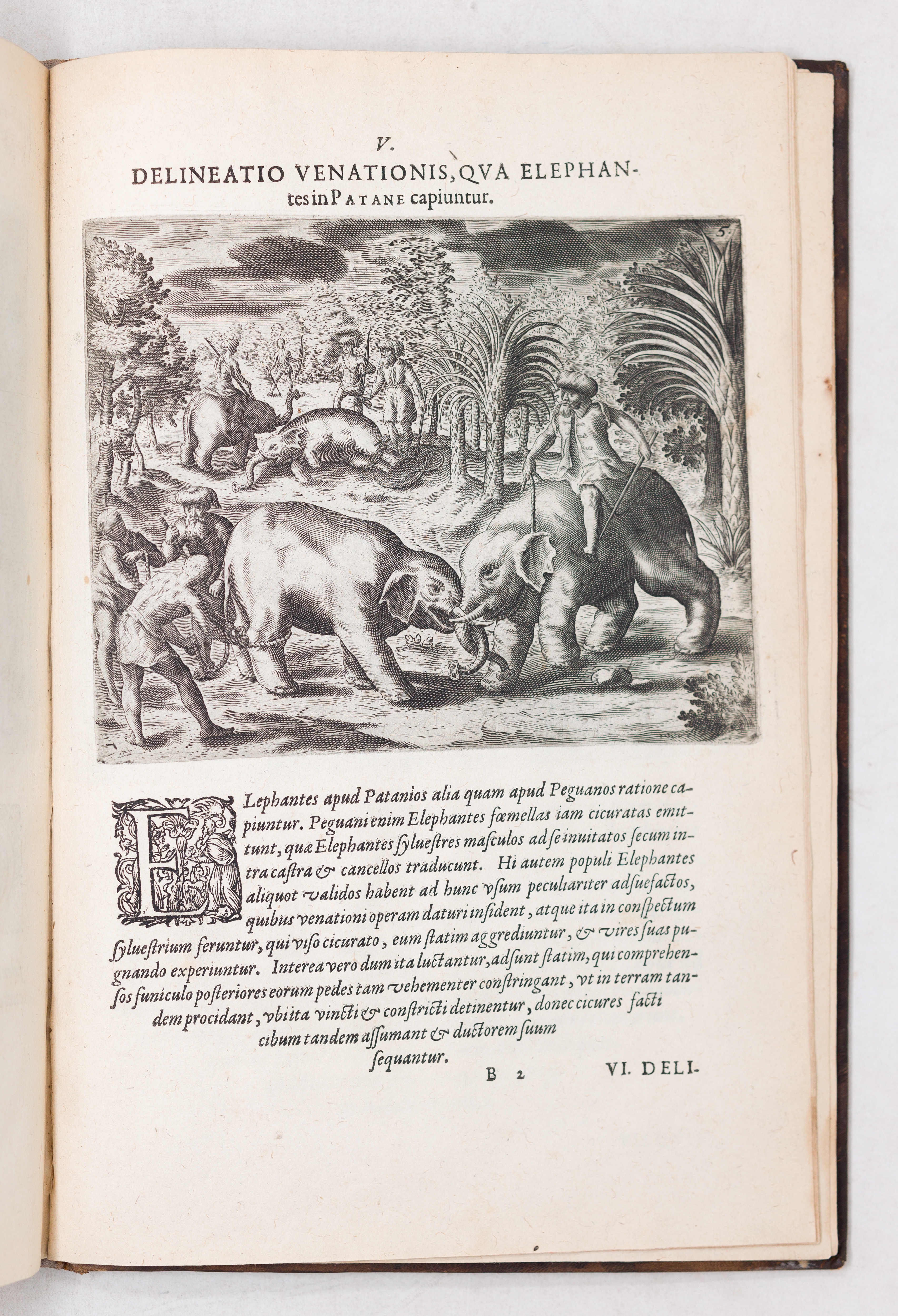 Johann Theodor De Bry | De Bry, Indiae Orientalis pars Octava 